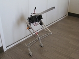 quadruped robot quadruped